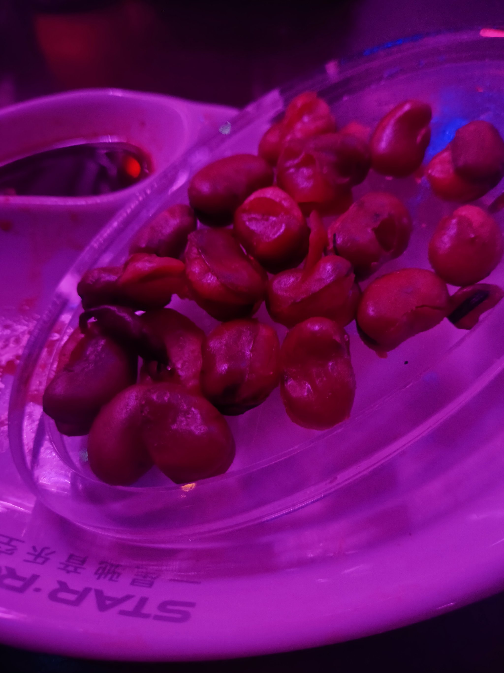 周口商务ktv，低端场氛围温馨-郸城县ktv预定